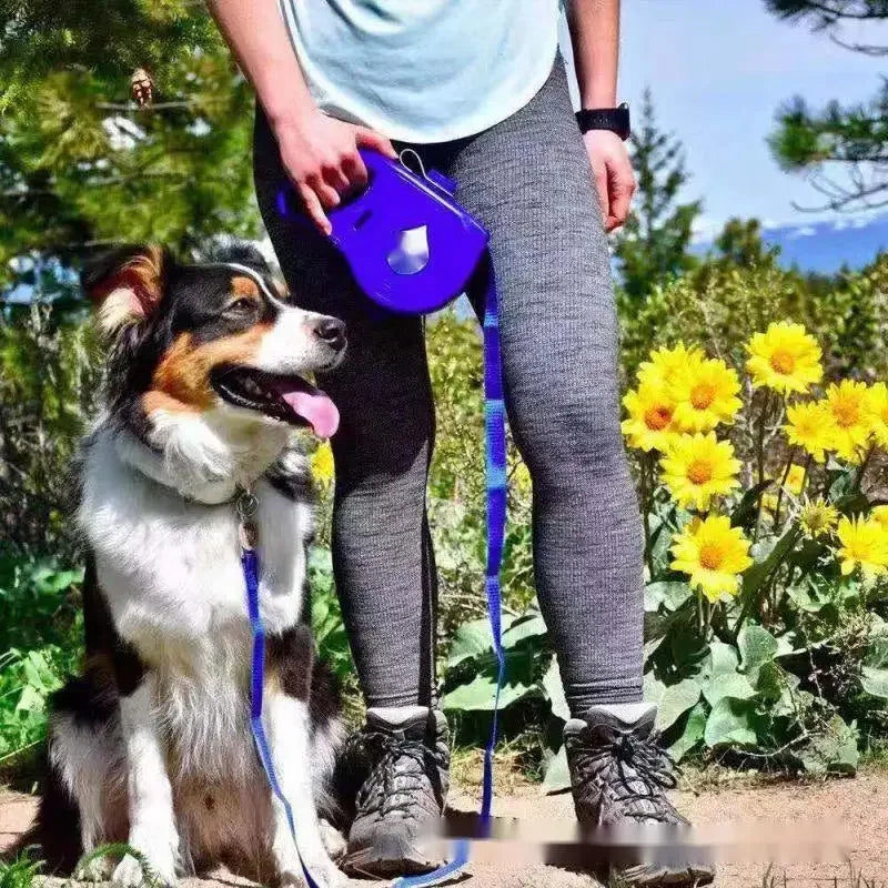 4 and 1 Adjustable Dog Leash