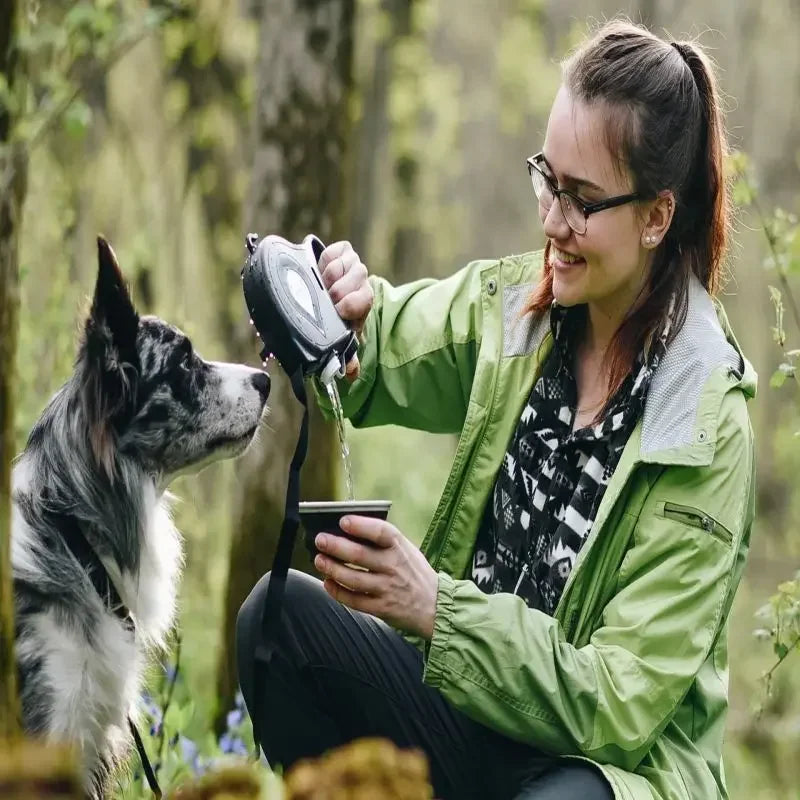 4 and 1 Adjustable Dog Leash