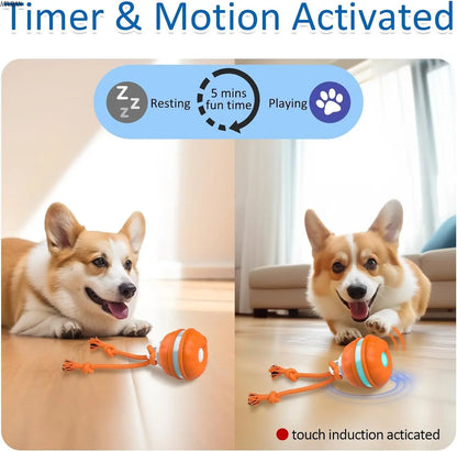 Interactive Dog Toys,Motion Activated Dog Ball,Automatic Rolling Ball Toys for Puppy,Active Rolling Ball for Cats&Dogs